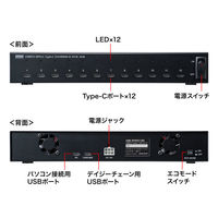 サンワサプライ  USB2.0 Type-C 12ポートハブ USB-2THCS12N（直送品）