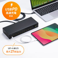 サンワサプライ  USB 5Gbps Type-C 10ポートハブ USB-5TCPS10（直送品）