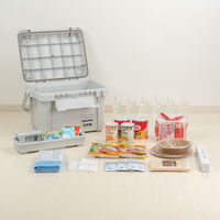 JEJアステージ　パッキン付頑丈ボックス500　ライトグレー　　1個