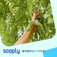 ソープリー ハンドソープ ラベンダー＆トンカ 300ml 1セット（1個×3） 【液体タイプ】 アメリカンディールスコーポレーション