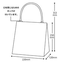 HEADS(ヘッズ)無地ハンドル付クリアギフトバッグー1　1袋（20枚）