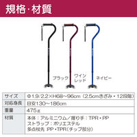 竹虎 バンブーステッキオフセット多点杖 ネイビー 104872 1本