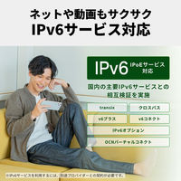 バッファロー 無線LAN親機 11ac/n/a/g/b 866+300Mbps Ipv6対応 WCRー1166DHPL/D 1個（直送品）