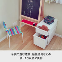 吉川国工業所 クロゼット・システム 引出し(L) AGy CS-D3_AGy 1個