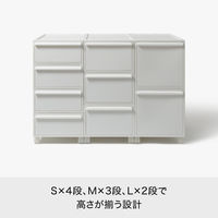 吉川国工業所 クロゼット・システム 引出し(L)2個組 AGy CS-D3*2P_AGy 1セット