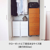 吉川国工業所 クロゼット・システム 引出し(S) AW CS-D1_AW 1個