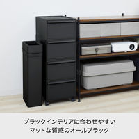 吉川国工業所 クロゼット・システム 引出し(M) ABk CS-D2_ABk 1個