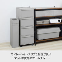 吉川国工業所 クロゼット・システム 引出し(M) AGy CS-D2_AGy 1個