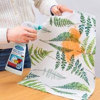 ドクターベックマン プレウォッシュ＆ステインリムーバー デリケート素材 250mL 1セット（1個×3） イーオクト