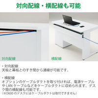 【設置込】イトーキ CZRデスク Type S  平机 パネル脚 センター引出付 1200×600mm CZR-126HAPS-971 1台（直送品）