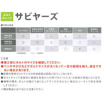 山喜産業　サビヤーズ　折板屋根用　１０ｍｍ　Ｌ　ブルー　1箱(100個入)（直送品）
