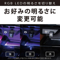 セイワ レインボーイルミ2USBコネクタ CtoC×2 イルミ F-349 1個（直送品）