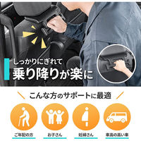 セイワ シートグリップフック 車用 WA-128 1個（直送品）