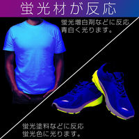 セイワ USBブラックライトLEDイルミ 車用 F-341 1個（直送品）