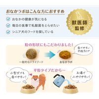 森乳 スーパーゴールド おなかラボ シニア犬用 ドライフード 800g 1袋 ドッグフード