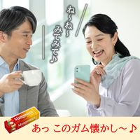 ロッテ マンゴスチンガム 9枚入 1セット（1個×15） 板ガム 個包装