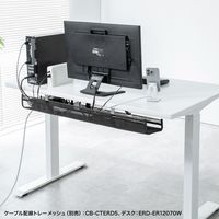 サンワサプライ e電動昇降デスク 受注生産品 幅1100×奥行700mm ブラック ERD-ER11070BK 1台（直送品）