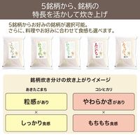 東芝 真空圧力IH 炊飯器 5.5合 RCー10VSV(K) 1台