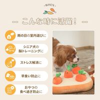 ノーズワーク わんパクっ！おにく畑 1個 シンセーインターナショナル 犬用 おもちゃ