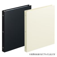 リヒトラブ Collel　ギャラリークリヤーブック Ａ4 ブラック N463ー24 1セット（1冊×10）
