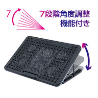 ナカバヤシ ノートPCクーラー　2WAY　5FAN　スタンダード　11～15.6インチ対応 NSFー10BK 1個