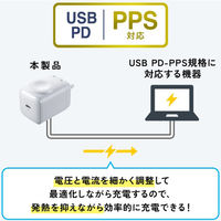 サンワサプライ  USB PD対応AC充電器（PD30W・Apple Watch充電） ACA-PD101（直送品）