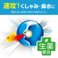 新コンタック600プラスs 12カプセル Haleonジャパン 鼻炎薬 くしゃみ 鼻みず 鼻づまり なみだ目【指定第2類医薬品】