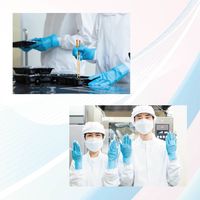 ミズムジャパン MISM ポリエチレン手袋 L 粉なし 100枚入り ブルー 【食品衛生法適合】 1箱（直送品）