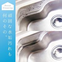 カンペハピオ 復活洗浄剤 ステンレスシンククリーナー 100ML 17660142100 1個（直送品）