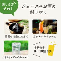 シークヮーサー ストレート果汁 100% 360ml 1箱（24本入）
