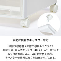 【引き出し収納】　天馬　フィッツケース 53ー30L　ホワイト/クリア　幅30.0×奥行53.0×高さ30.0cm　1セット（1個×3）