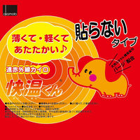 はらない快温くんミニ30コ入 カイロ 防寒 寒さ対策 暖かい 防災 備蓄 小さめ 4547691669711 1箱(1個(30枚入)x16)（直送品）