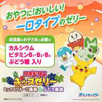 大正製薬 リポビタンキッズゼリーひとくちタイプ　ミックスフルーツ＆ぶどう風味 10個入 16袋