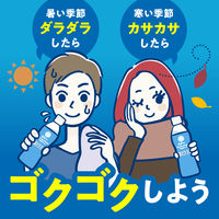 アース製薬 アースコロイダルシリカ123 300ml 1箱（30本入）