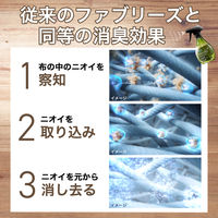 ファブリーズ ナチュリス 布用 消臭スプレー レモングラス＆ジンジャー 詰め替え10L（バックインボックス）1個 P&G