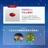 ロートV5 目×睡眠Wケア（30日分） 1個（30粒入） ロート製薬 目のサプリメント