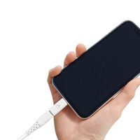 エアージェイ USB-C → Lightning変換アダプター CA-CTL 1個（直送品）