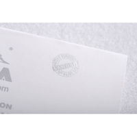 ロディア ブロックロディア No.12 ホワイト cf12201 1セット(1冊×10)