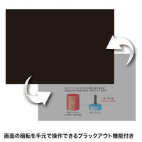 サンワサプライ グリーンパワーポインター LP-RFG110GM 1個