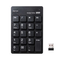サンワサプライ ワイヤレスUSBテンキー NT-WL20BK 1個