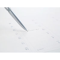 シヤチハタ ネームペントリノ (メールオーダー式) シルバー NP-TF1/MO 1本