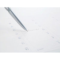 シヤチハタ ネームペントリノ (メールオーダー式) パールブルー NP-TF3/MO 1本