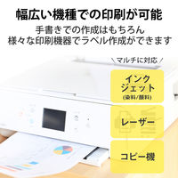 エレコム ラベルシール 宛名シール 速貼 A4 フリーカット ノーカット 20枚 EDT-TMQN1 1袋（直送品）