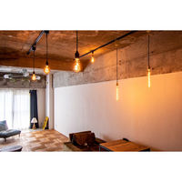 TIC 1灯ペンダントライト カーブ ブラック/チューブ TC-1004-CURVE BK/TU 1セット（直送品）