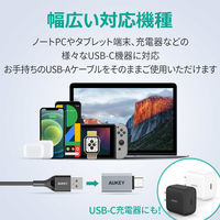 変換アダプタ USB-A[メス]-Type-C[オス] シルバー CB-A22 1セット（2個入） AUKEY