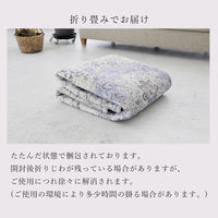 トシシミズ ディクトム マイクロプリントパイルラグ DM-052 1400×2000mm ブルー 4573109305759 1枚（直送品）