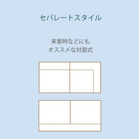 セルタン コーナーソファ 3点セット クッション付き グレー KSA-687GRY　 1セット(3点入)（直送品）