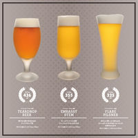 株式会社藤栄 リビープレミアム フレアピルスナー 325ml スモーキー LB-506 4545229166855 1個（直送品）