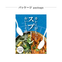 株式会社藤栄 カレーがもっとおいしく感じるスプーン OSP-001 4545229172481 1本（直送品）