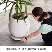 住まいスタイル セメント製キャスター付きプランターキャリー36cm TR360WHT 1個（直送品）